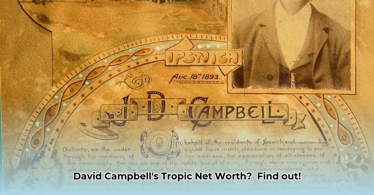 david-campbell-tropic-net-worth